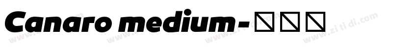 Canaro medium字体转换
